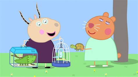 Watch Peppa Pig Season Episode Doctor Hamster S Tortoise Watch