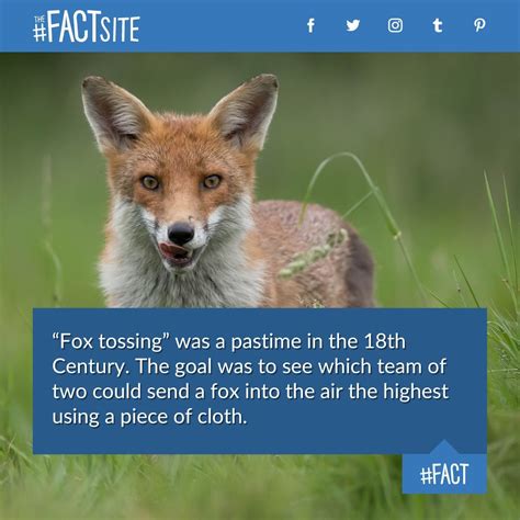 Fifteen fun facts about the number 15 the fact site – Artofit