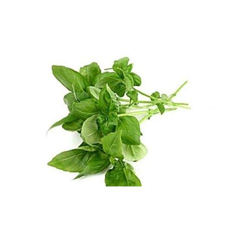 jual kemangi suraung  ikat shopee indonesia