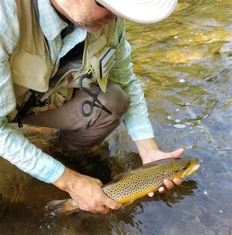 Catch More Trout Fly Fishing 27 Best Guide Tips 2024