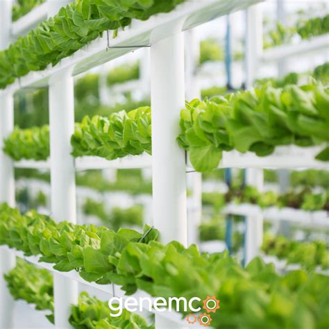 Vertical Farming - The future of agriculture