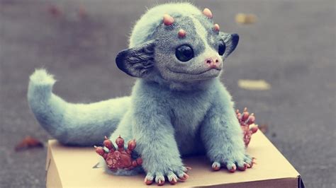 Weird Animals Archives Pretend Magazine