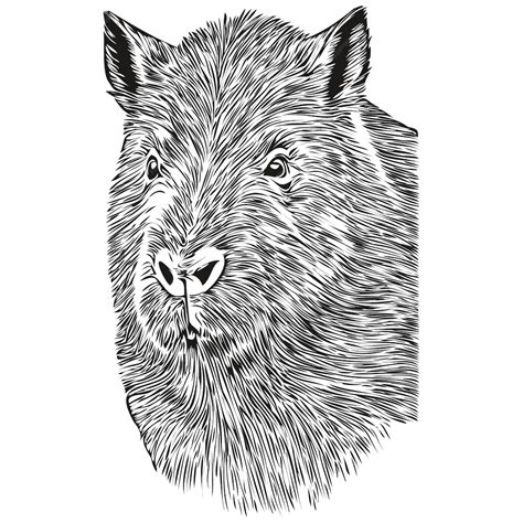 Capivara Desenho Preto E Branco - Capivara ilustração vintage arte vetorial preto e branco capivaras ...
