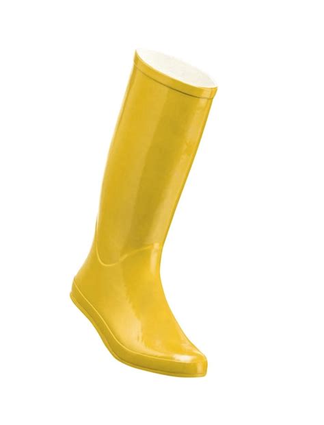 Premium Photo | Rubber boot isolated