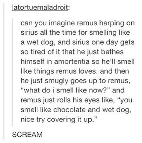 Pin By M On Harry Potter Gay Harry Potter Harry Potter Jokes Harry Potter Ships