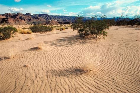 climate   mojave