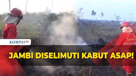 Jambi Diselimuti Kabut Asap Akibat Karhutla Youtube