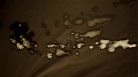 Solo Jerkoff Cumshot Compilation Search XVIDEOS