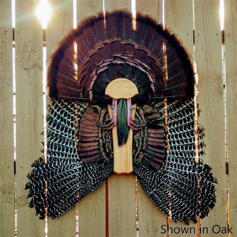 Turkey Tailwing Mount Etsy