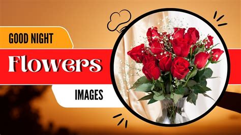 Incredible Compilation Of Flower Good Night Images Over Images