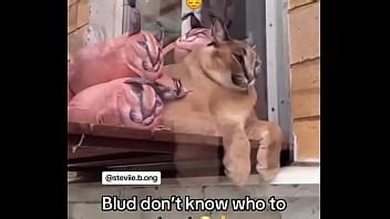 Joven Travieso Juega A Roblox Xvideos