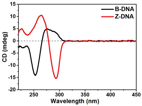 Ijms Free Full Text Binding Interactions Of Zinc Cationic Porphyrin