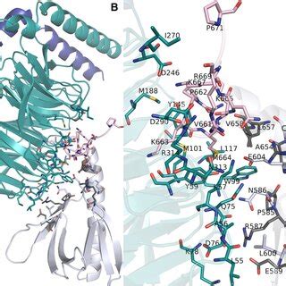 Grk Ph Domain Interaction With G Subunits A Ph Domain Interaction