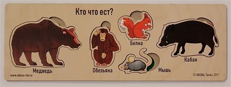 Кто что ест? Дикие животные