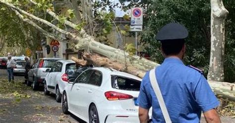 Albero Cade Su Un Auto A Roma Lievemente Ferito Il Conducente