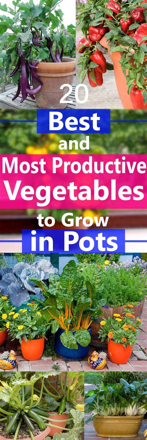 Best Vegetables To Grow In Pots Most Productive Vegetables For Containers Balcony Garden Web