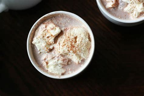 Perfect Hot Cocoa Recipe - One Sweet Appetite