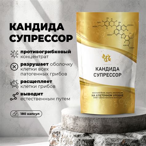 Концепция здоровья - система функционального здорового питания в Алматы