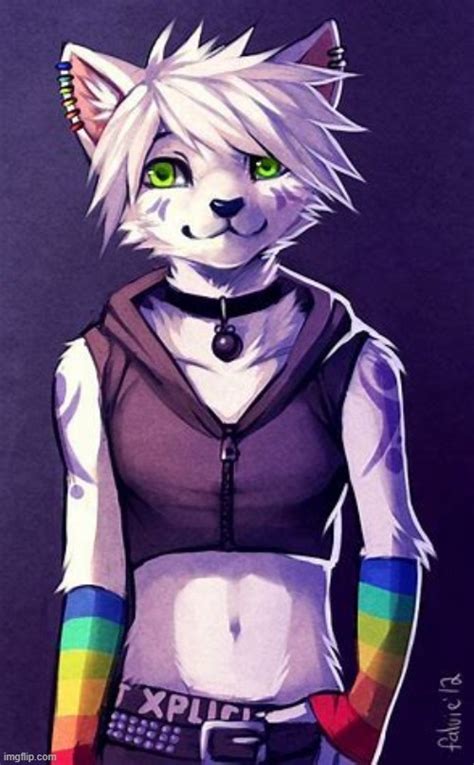 Im Not Gay Meme Furry Leqwerstudios