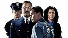 Actors In Blue Blood Tv Series