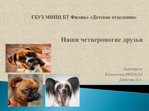 Наши четвероногие друзья - презентация онлайн