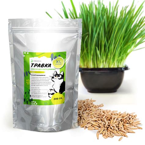 Трава для кошек. Семена овса. 200гр DREOSSA - купить с доставкой по ...