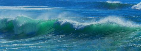 Living Shoreline Solutions - Wave Attenuation Devices - Living ...