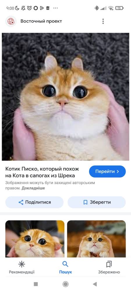 Создать мем "котики, кот, кот похожий на кота в сапогах" - Картинки ...