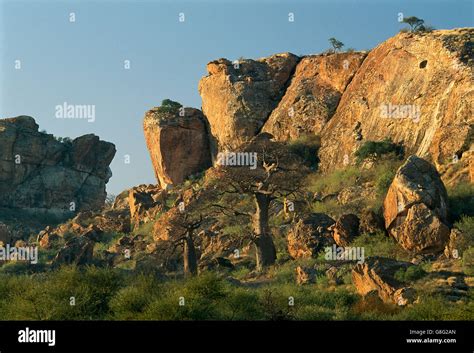 Kingdom mapungubwe hi-res stock photography and images - Alamy