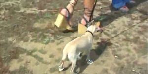 Anal Life 1 Scene 1 Tnaflix