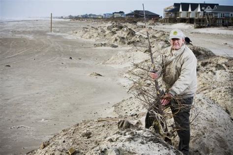 Brazoria County's beaches need your leftover trees