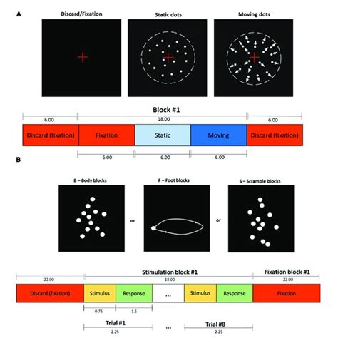 A Schematic Representation Of The Functional Localizer Task The