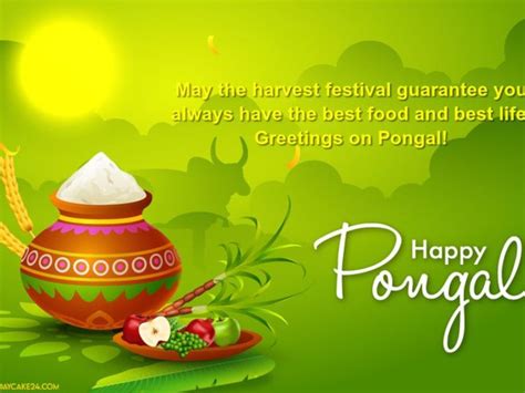 Pongal Kolam 2024 25 Best Rangoli Designs For Pongal And Sankranti