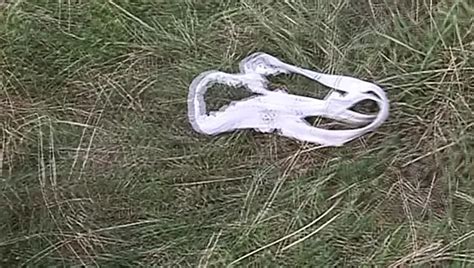 Free Formula Porn Videos XHamster