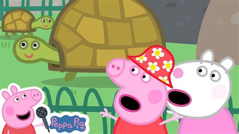 Bing Bong Zoo Peppa Pig Songs Peppa Pig Nursery Rhymes And Kids Songs