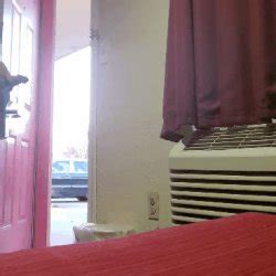 Jacking Off With Motel Door Open Porn EroMe