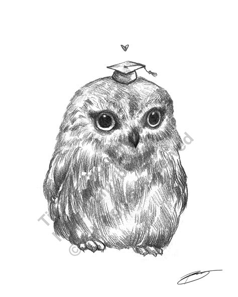 Fat Little Owl Sketch Illustration 8.5 X 11 Black and | Etsy