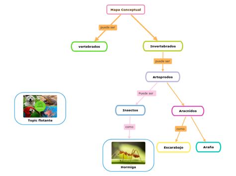 Mapa Conceptual Mind Map