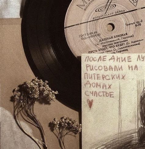 Putting Them On A Sex Ban Riize Cw Mentions Of Sex Masturbation Request Sex