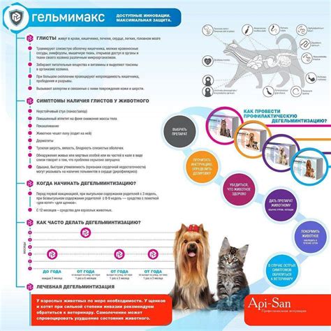 Фиприст для кошек: инструкция по применению, показания и ...