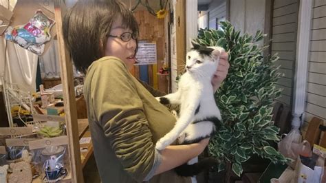 右大動脈弓遺残【石狩33頭多頭飼育崩壊】 札幌市・猫の保護団体「nyapancatrescue」