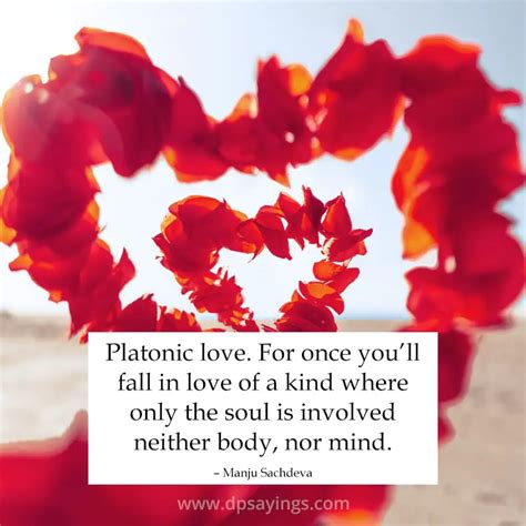 48 Platonic Love Quotes Will Make You Love Beyond Dp Sayings