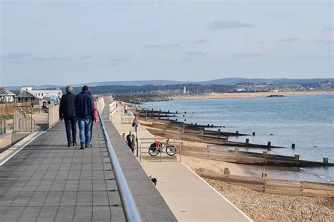 The Best New Forest Beach Walks To Enjoy On A Spring Day Whatever The