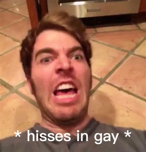 Funny Gay Spongebob Meme Coinsnolf