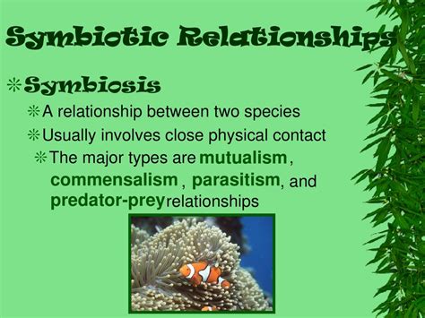 Ecological Relationships Ppt Download