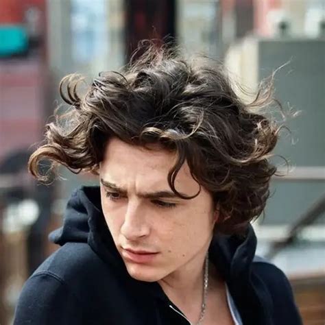Pin On Timothee Chalamet Being Hot