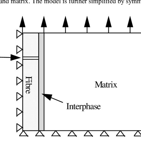 Schematic representation of model. | Download Scientific Diagram
