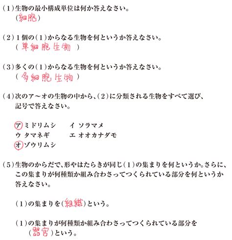 【中2理科】「細胞・組織・器官・個体」練習編 映像授業のtry It トライイット