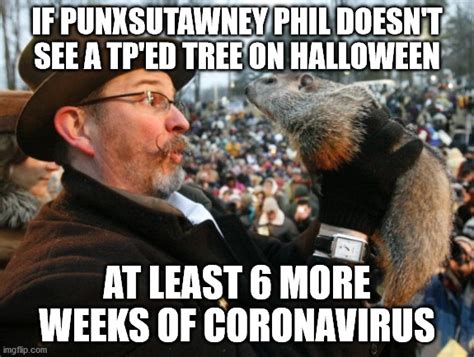 Phil The Groundhog Memes / Punxsutawney phil is the only true weather ...