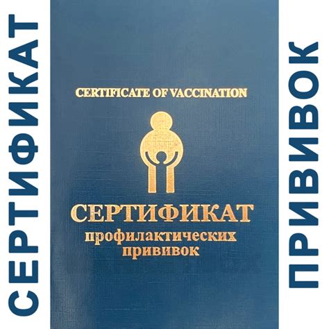 Сертификат прививок, сертификат о профилактических прививках, бланк 156 ...